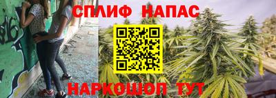 гашик Кандалакша