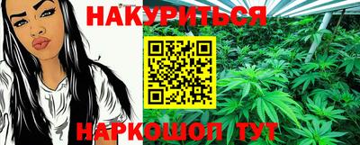 гашик Кандалакша